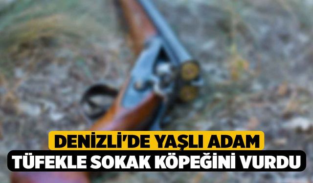 Denizli'de Yaşlı Adam Tüfekle Sokak Köpeğini Vurdu