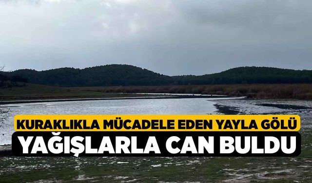 Kuraklıkla mücadele eden Yayla Gölü yağışlarla can buldu