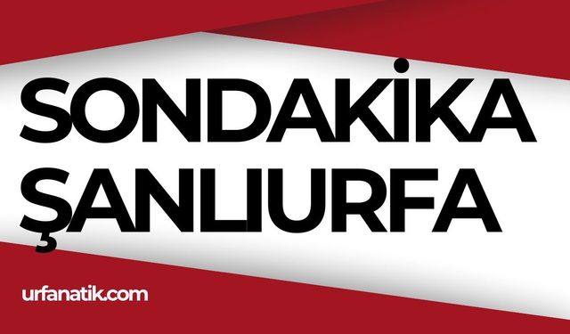 Son Dakika Şanlıurfa - Urfanatik