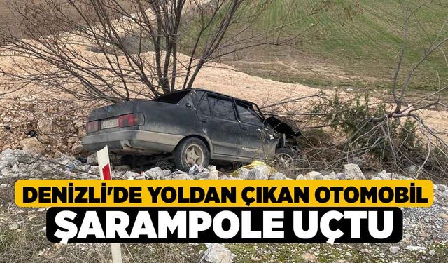 Denizli'de Yoldan Çıkan Otomobil Şarampole Uçtu