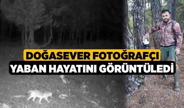 Doğasever fotoğrafçı yaban hayatını görüntüledi