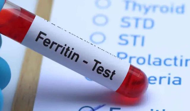 Ferritin Nedir?