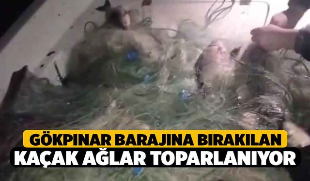 Gökpınar Barajına bırakılan kaçak ağlar toparlanıyor