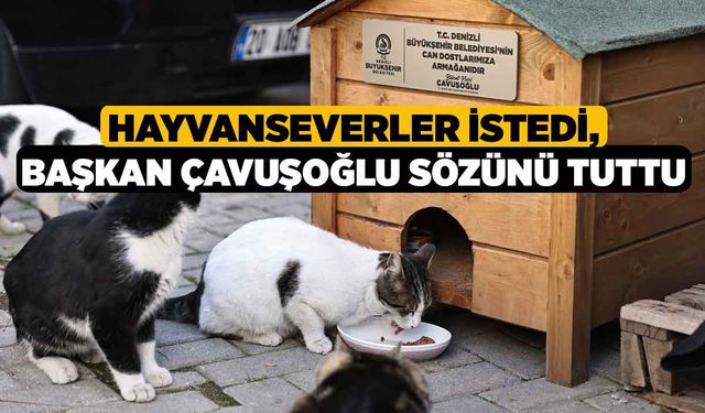 Hayvanseverler istedi, Başkan Çavuşoğlu sözünü tuttu