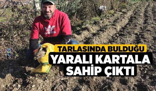 Tarlasında bulduğu yaralı kartala sahip çıktı