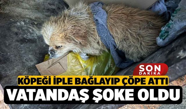 Çivril'de Köpeği İple Ayaklarını Bağladığı Köpeği Çöpe Atan Kadın Kameraya Yakalandı