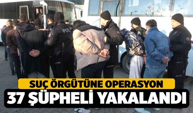 Suç Örgütü Operasyonunda 37 Kişi Yakalandı