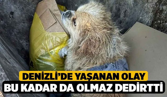 Denizli’de Yaşanan Olay Bu Kadar da Olmaz dedirtti