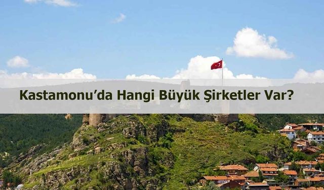 Kastamonu’da hangi büyük şirketler var?