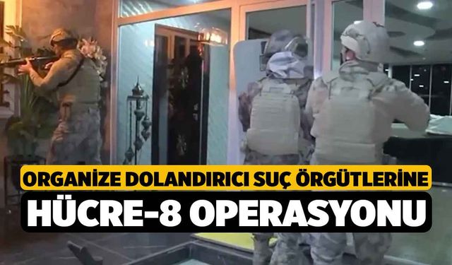 Organize dolandırıcı suç örgütlerine Hücre-8 operasyonu