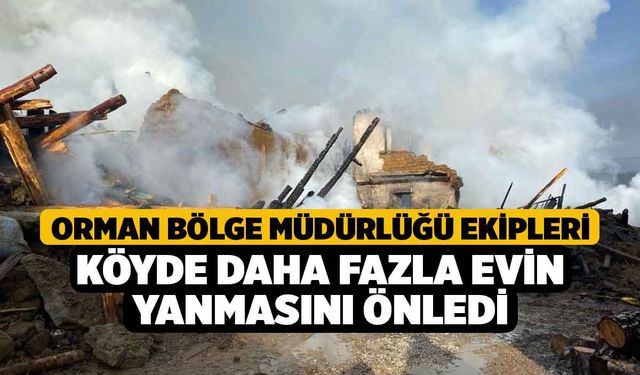 Orman Bölge Müdürlüğü ekipleri köyde daha fazla evin yanmasını önledi