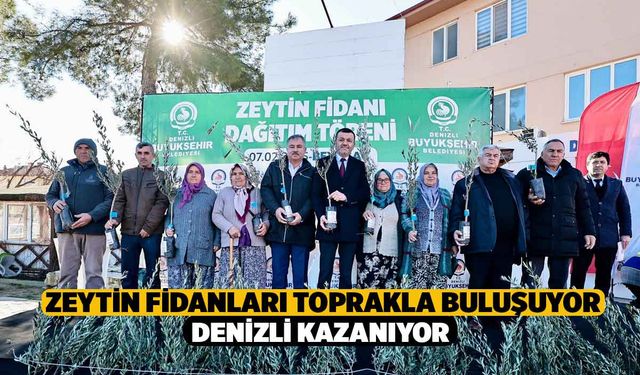 Zeytin Fidanları Toprakla Buluşuyor, Denizli Kazanıyor