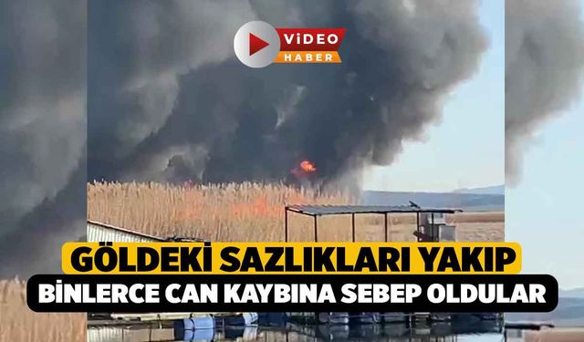 Gökgöl'deki Sazlıkları Yaktılar, Binlerce Canlı Telef Oldu