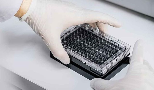 AkgenLab: Genetik Biliminin Gücünü Keşfedin