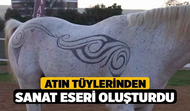 Atın tüylerinden sanat eseri oluşturdu