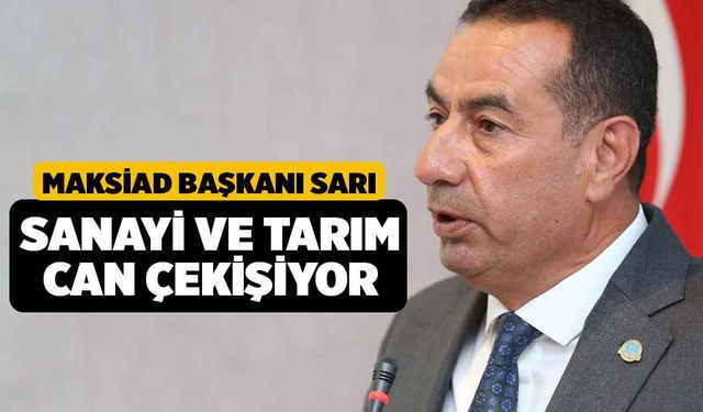 MAKSİAD Başkanı Sarı, Denizli’de Sanayi ve Tarım Can Çekişiyor