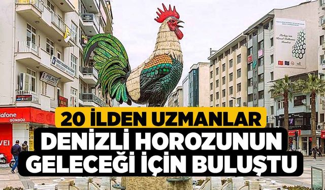 20 ilden uzmanlar Denizli Horozunun geleceği için buluştu
