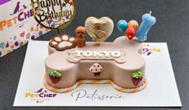 Petchef’ten Köpek Pastası ve Hipoalerjenik Mama ile Sağlıklı Beslenme