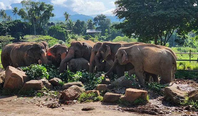 Bali Rehberi: Gezilecek Yerler ve Konaklama