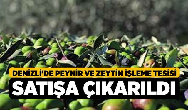 Denizli'de peynir ve zeytin işleme tesisi satışa çıkarıldı