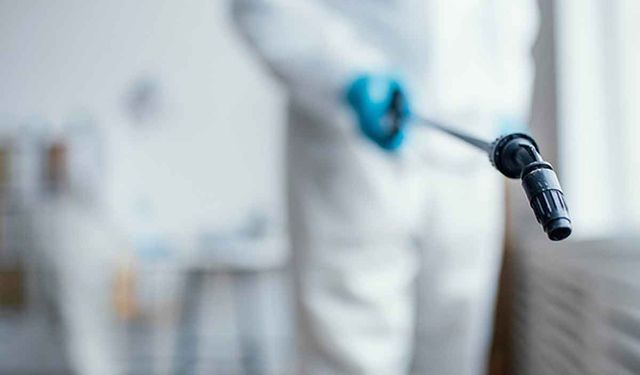 Böcek İlaçlama ile Kalıcı Sonuç Nasıl Alınır?