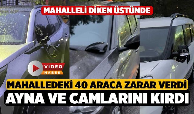 Denizli'de Sorunlu Vatandaş, Mahalleliye Dehşeti Yaşattı 40 Araca Zarar Verdi