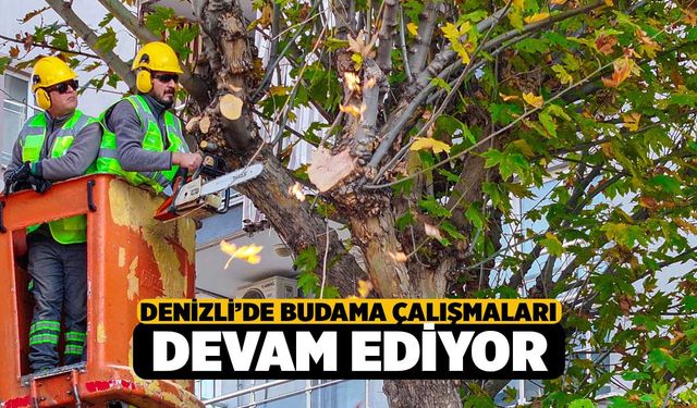 Büyükşehir’de Budama Çalışmaları Devam Ediyor