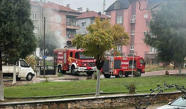 Denizli'de Park halindeki minibüs alevlere teslim oldu