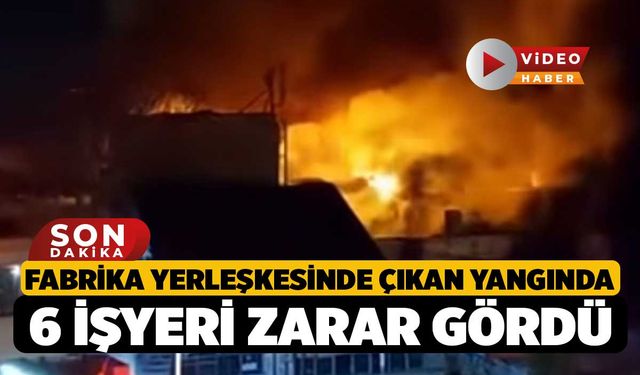 Fabrika yerleşkesinde çıkan yangında 6 işyeri zarar gördü