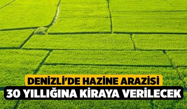 Denizli'de hazine arazisi 30 yıllığına kiraya verilecek