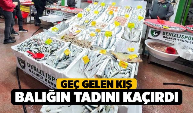 Geç gelen kış balığın tadını kaçırdı