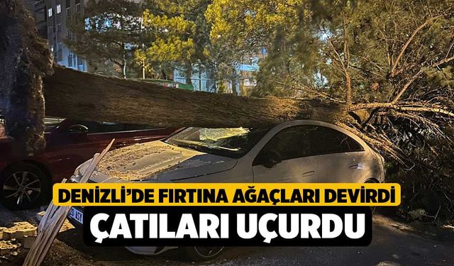 Denizli’de fırtına ağaçları devirdi, çatıları uçurdu