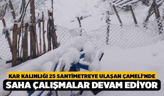 Kar kalınlığı 25 santimetreye ulaşan Çameli'nde saha çalışmalar devam ediyor