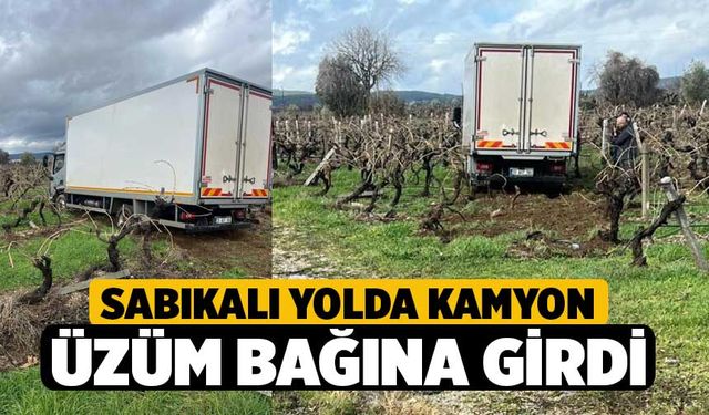 Sabıkalı yolda kamyon üzüm bağına girdi