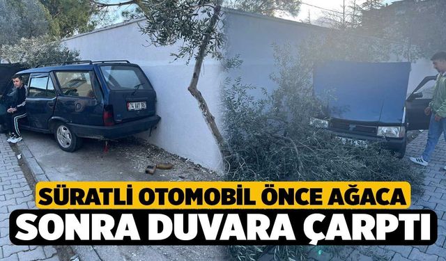 Süratli otomobil önce ağaca sonra duvara çarptı