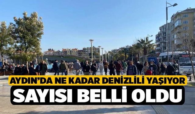 Aydın’da Ne Kadar Denizlili Yaşıyor Sayısı Belli Oldu
