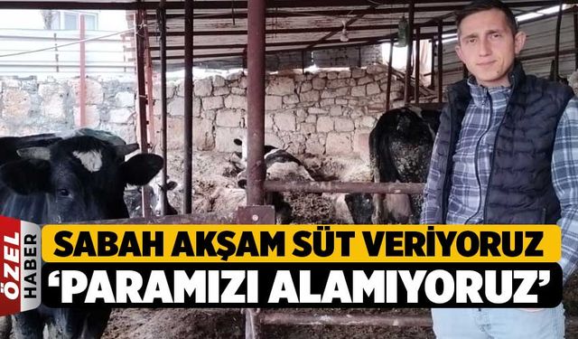 Süt Üreticisi Sorucu, "Sabah Akşam Süt Veriyoruz Paramızı Alamıyoruz"