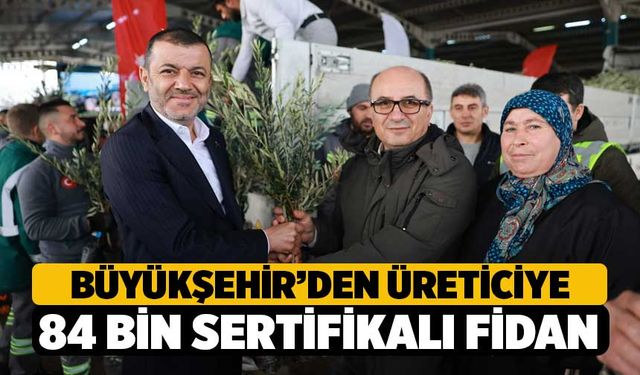 Denizli’de Zeytin Seferberliği: 84 Bin Fidan Toprakla Buluştu!