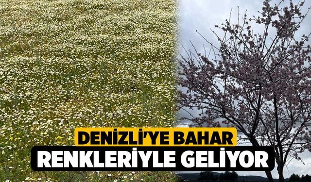 Denizli'ye Bahar Renkleriyle Geliyor