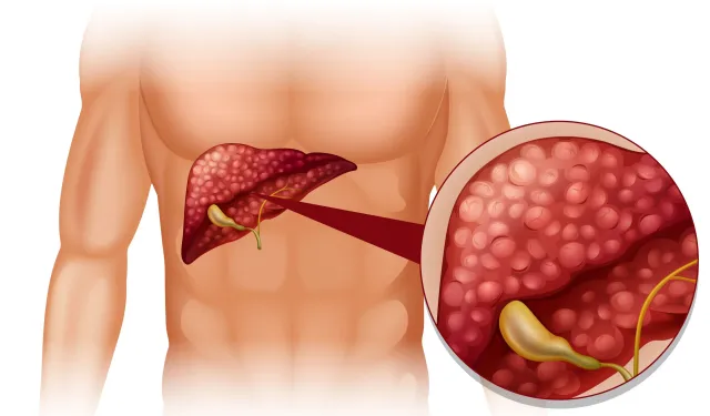 Karaciğer Enzimlerini Anlamak ve Daha Akıllı Kan Testi Kararları Almak