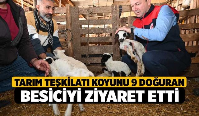 Tarım teşkilatı koyunu 9 doğuran besiciyi ziyaret etti