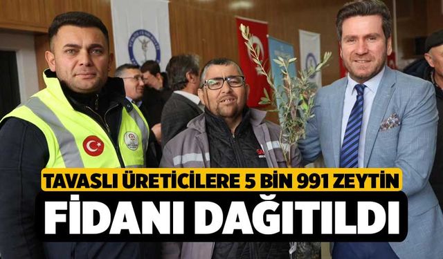 Tavaslı üreticilere 5 bin 991 zeytin fidanı dağıtıldı
