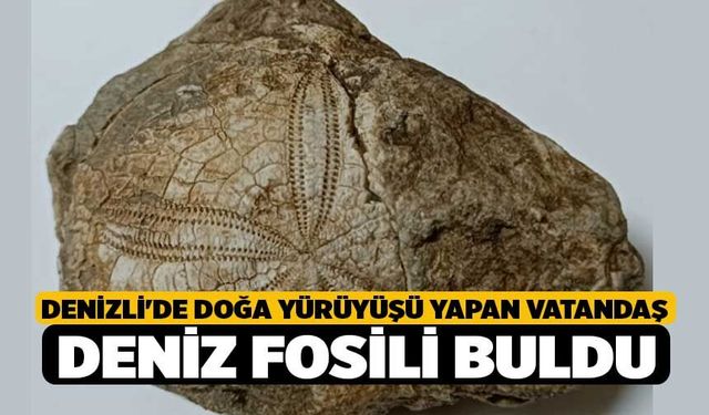 Denizli'de Doğa Yürüyüşü Yapan Vatandaş Deniz Fosili Buldu