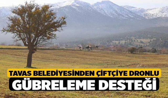 Tavas Belediyesinden çiftçiye dronlu gübreleme desteği