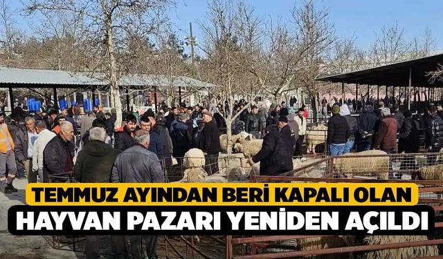 Temmuz Ayından Beri Kapalı Olan Hayvan Pazarı Yeniden Açıldı