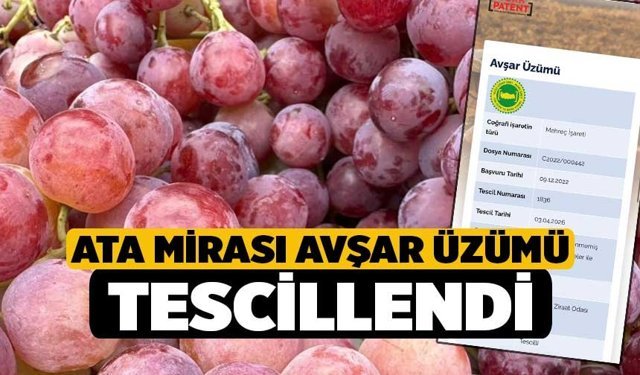 Ata Mirası Avşar Üzümü Tescillendi
