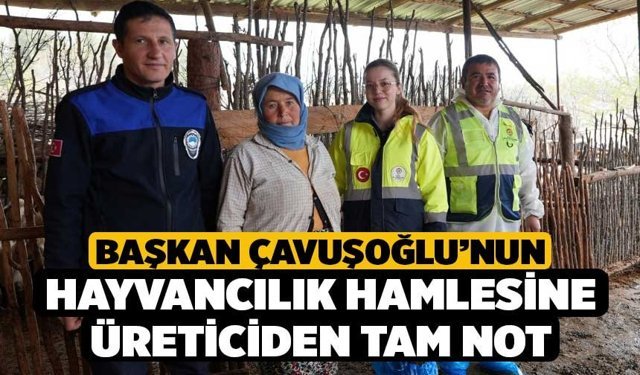 Başkan Çavuşoğlu’nun hayvancılık hamlesine üreticiden tam not