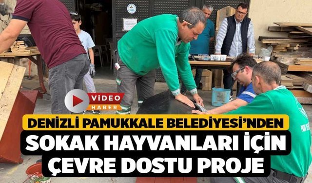 Denizli Pamukkale Belediyesi’nden Sokak Hayvanları İçin Çevre Dostu Proje