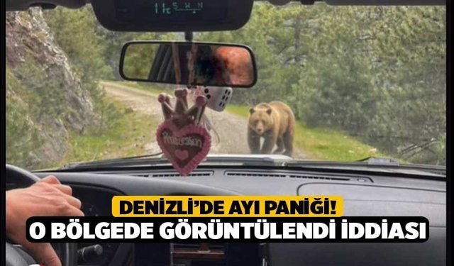 Denizli’de ayı paniği! O bölgede görüntülendi iddiası