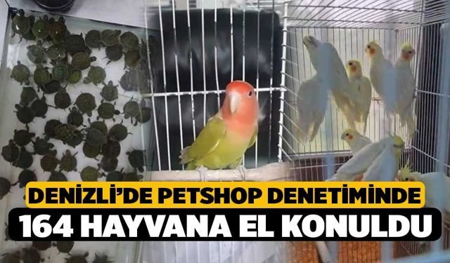 Denizli’de Petshop Denetiminde 164 Hayvana El Konuldu